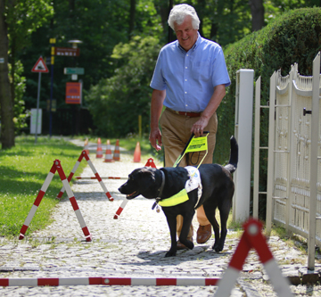 David and Zoey at a German guide dog school participating in a test