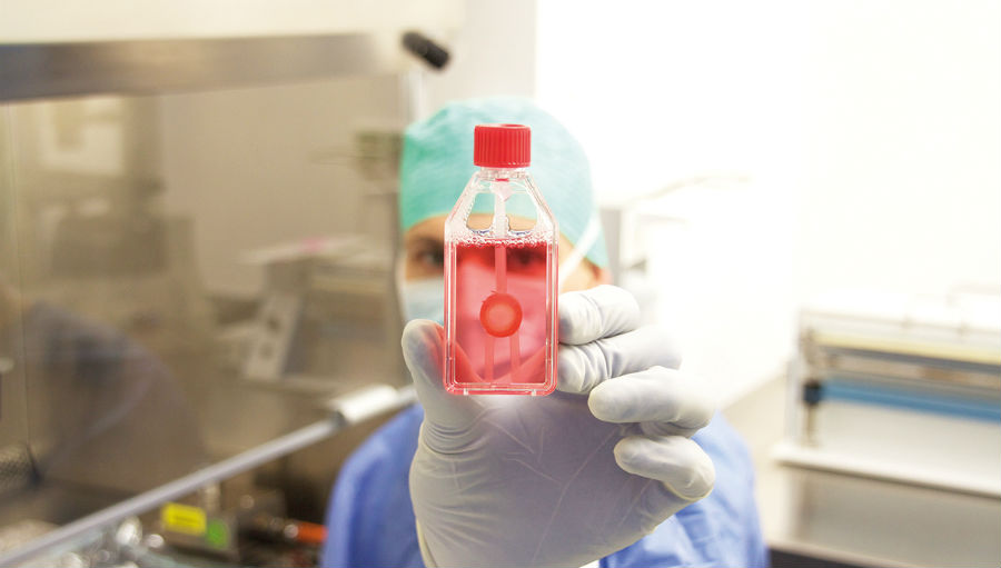 Corneal in a sealed bottle for a transplant being held by a healthcare professional
