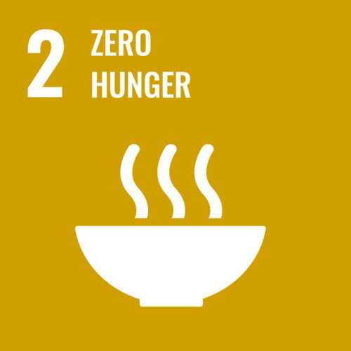 可持续发展目标2：零饥饿