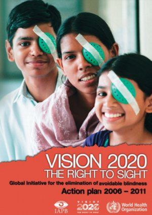 VISION 2020 Action Plan 2006-2011