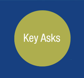 World Report on Vision - Key Asks