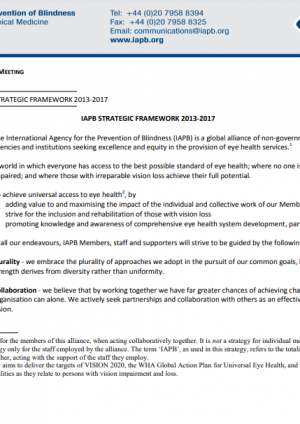 IAPB Strategic Framework 2013-2017