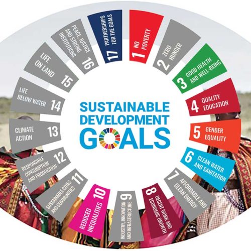 Infographic showing which SDGs vision impacts including Goal 1: No poverty Goal 2: Zero hunger Goal 3: Good health and well-being Goal 4: Quality education Goal 5: Gender equality Goal 8: Decent work and economic growth Goal 10: Reducing inequality