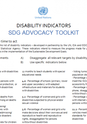 Toolkit to advocate for disability inclusion in SDG indicators