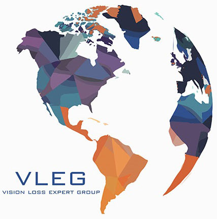 El logo de VLEG
