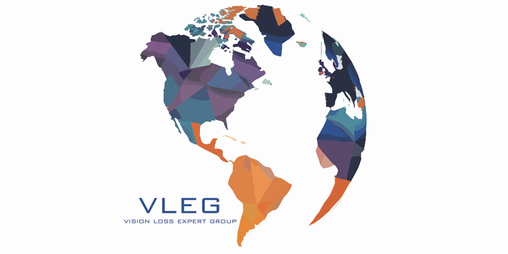 VLEG logo