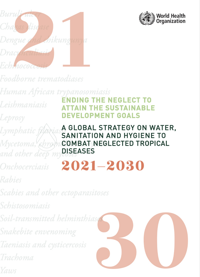 A Global Strategy on Water, Sanitation and Hygiene