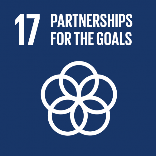 可持续发展目标17：伙伴关系