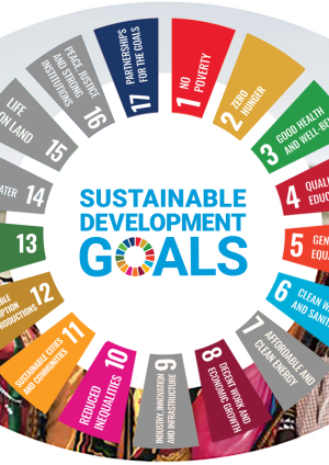 Sustainable Development Goals - IAPB