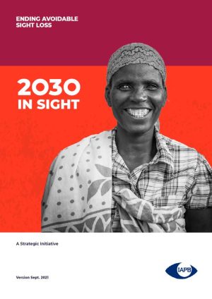 2030 in Sight strategy document cover