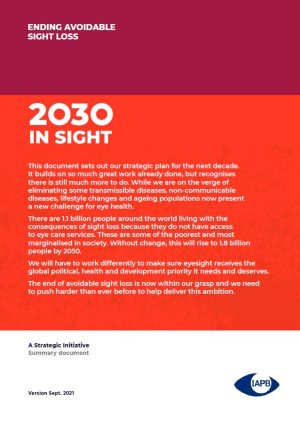 Carátula del documento de síntesis 2030 in Sight