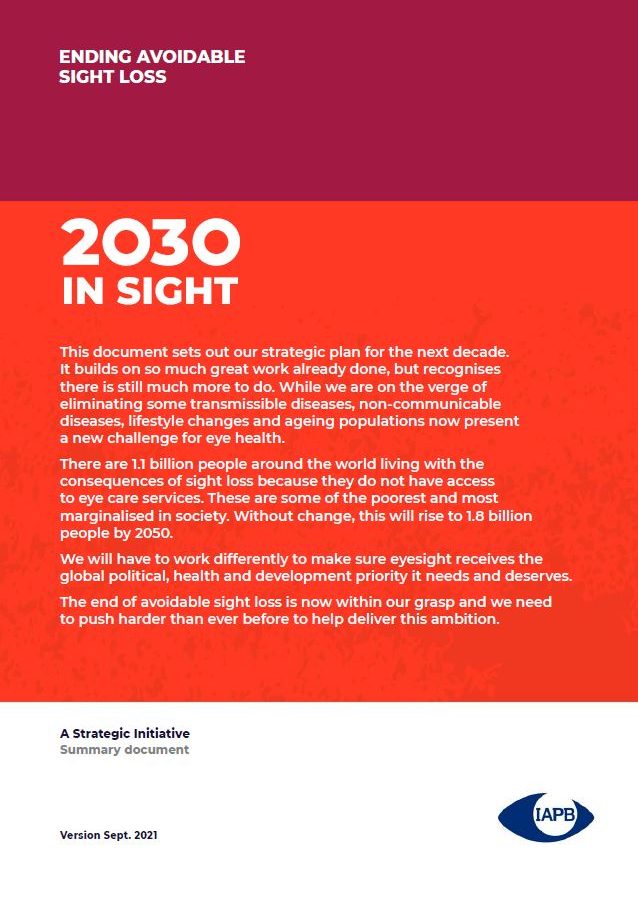 2030 in Sight summary document cover