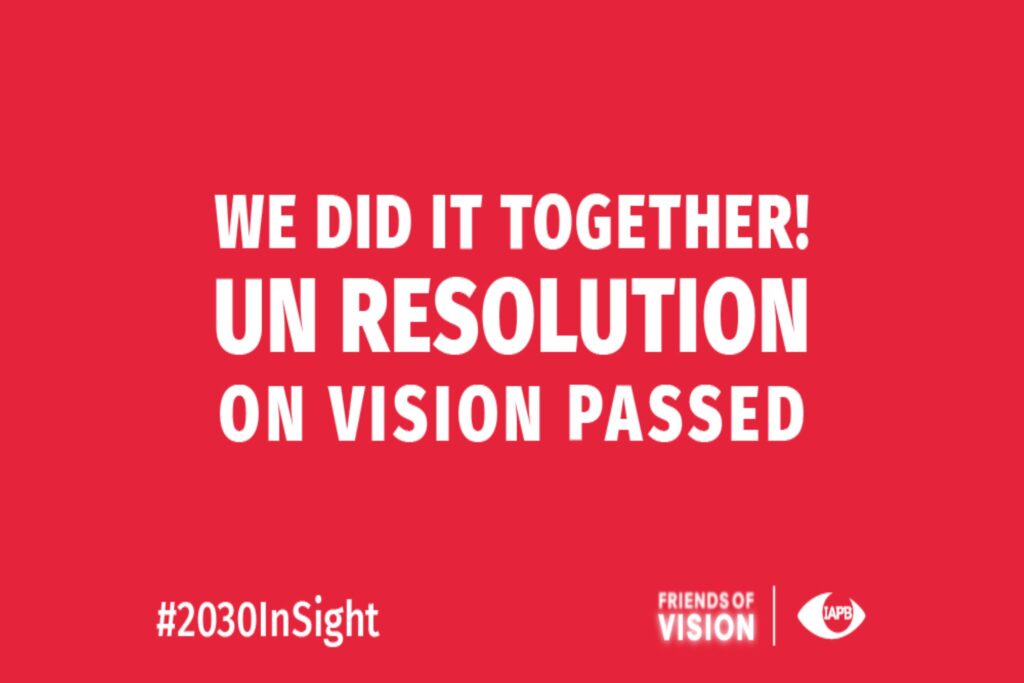 United Nations General Assembly Resolution on Vision