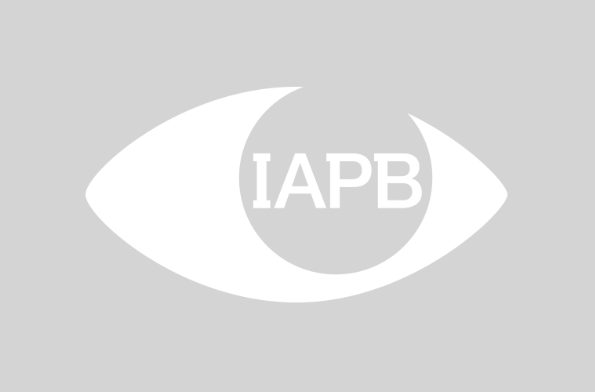 IAPB logo grey