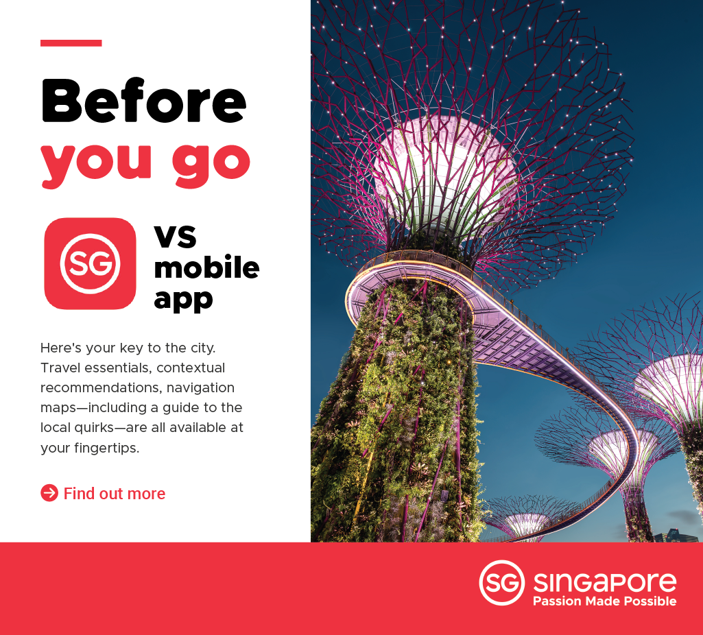 2030 IN SIGHT LIVE - Singapur: Before you go