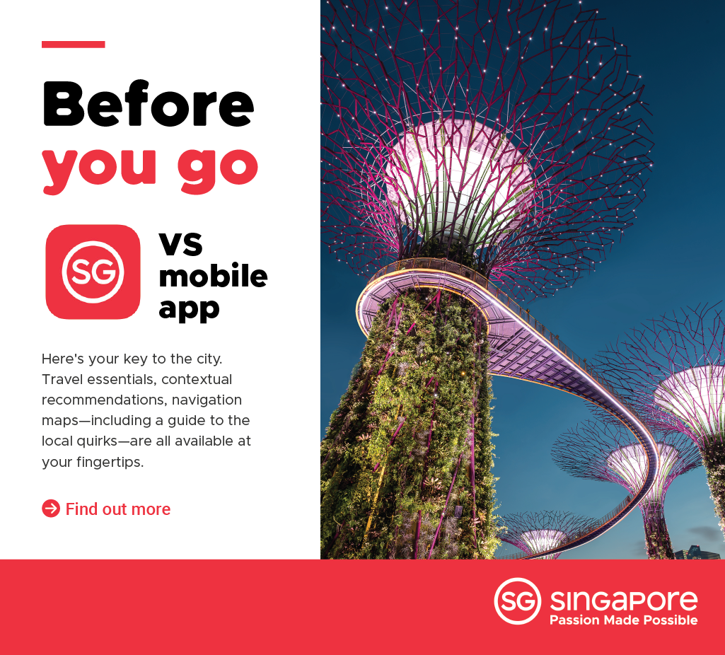 2030 IN SIGHT LIVE - Singapour: Before you go