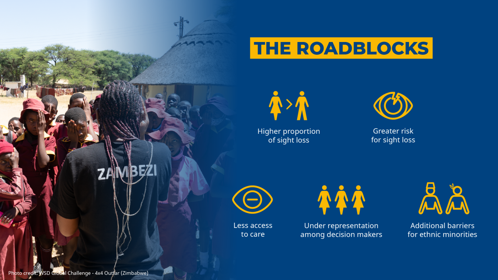 The Roadblocks Higher proportion of sight loss Greater risk for sight loss Less access to care Under representation among decision makers Additional barriers for ethnic minorities