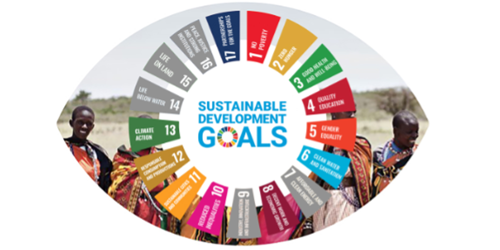 SDG Wheel