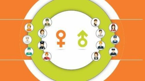 E-Learning on Gender Statistics course image