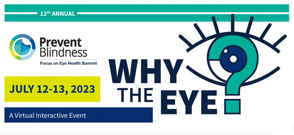 2023年关注眼健康峰会 - 预防盲症