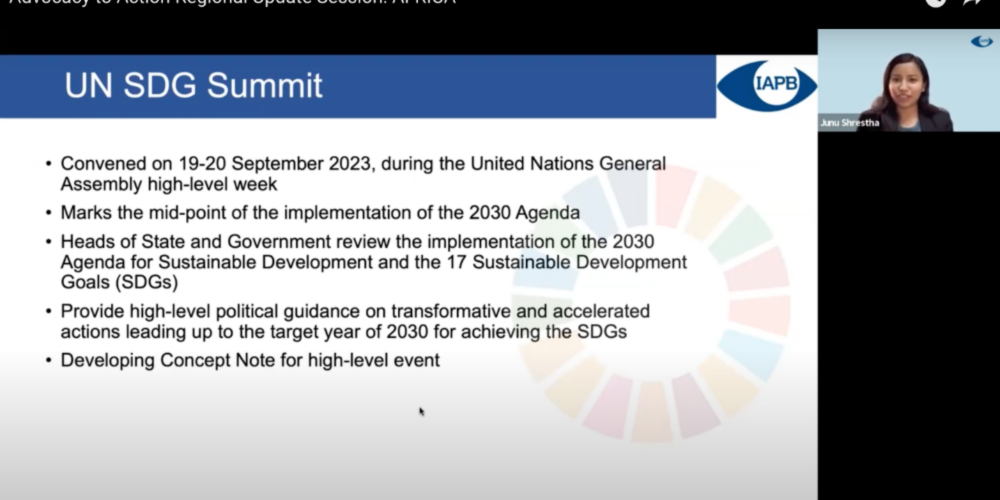 Screenshot of Junu talking about UN SDG Summit
