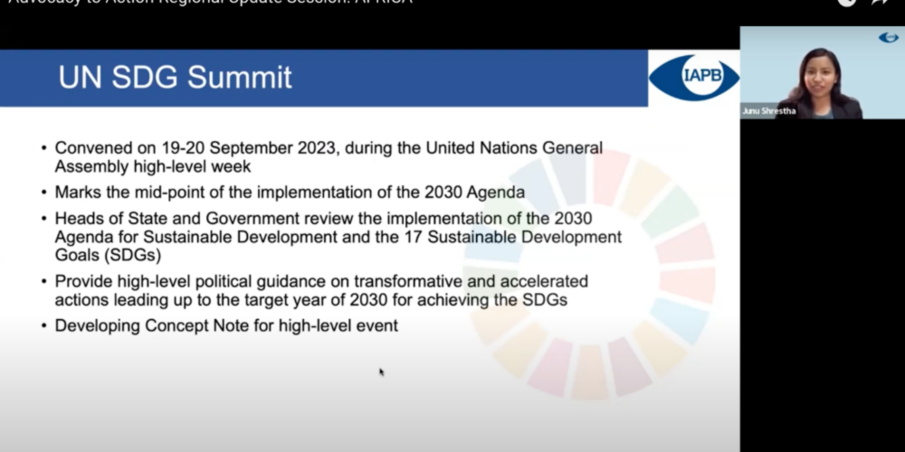 Capture d'écran de Junu parlant du Sommet des Nations unies sur les objectifs du Millénaire pour le développement (SDG)