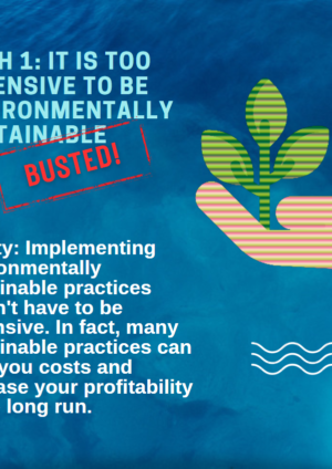 Diapositive 1 du dossier Action climatique et mythes sur les soins oculaires : Fichier "Busted" (en anglais)
