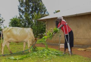 Jeniffer Atieno Opito, pictured, took part in a Sightsavers-led formal employment project as part of the Inclusive Futures programme in Kenya. She was one of 39 farmers with disabilities who formed a registered group and grew sorghum, a key ingredient in beer, which was sold to East African Breweries Ltd.