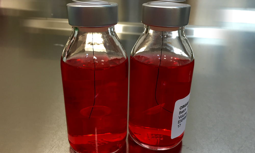 Corneal surgery transplant tissue