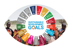 Sustainable Development Goals (SDGs)