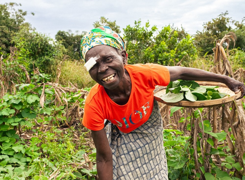 A woman Amélis works as a farmer in Sofala province, 莫桑比克.