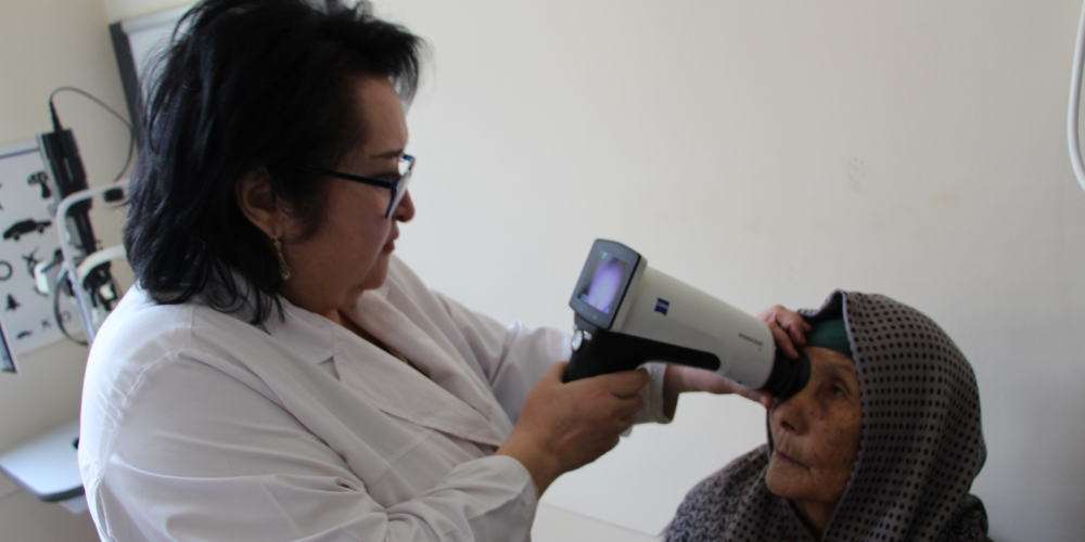 In the Kashkadarya region of the Republic of Uzbekistán. Examination of the fundus by an ophthalmologist with a fundus camera in a patient with diabetes, Manzura Sodykova, 68 years old, living in a remote rural region/ Nilufar Ibragimova