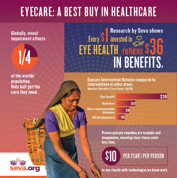 Seva study infographic