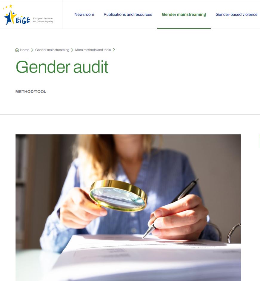 Gender Audit webpage