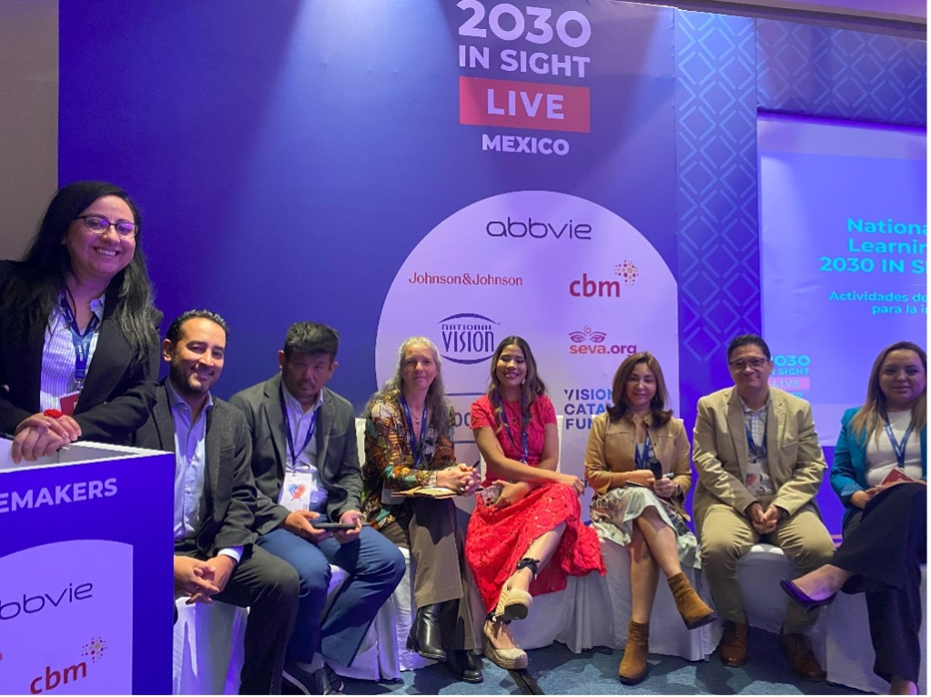 Cambios de Sistemas para Implementar la estrategia 2030 In Sight- Experiencias de Países Invitados