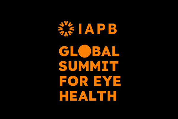 The Global Summit for Eye Health Workshop