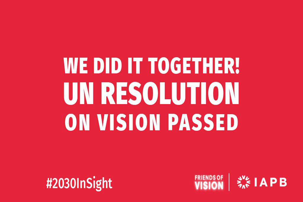 United Nations General Assembly Resolution on Vision