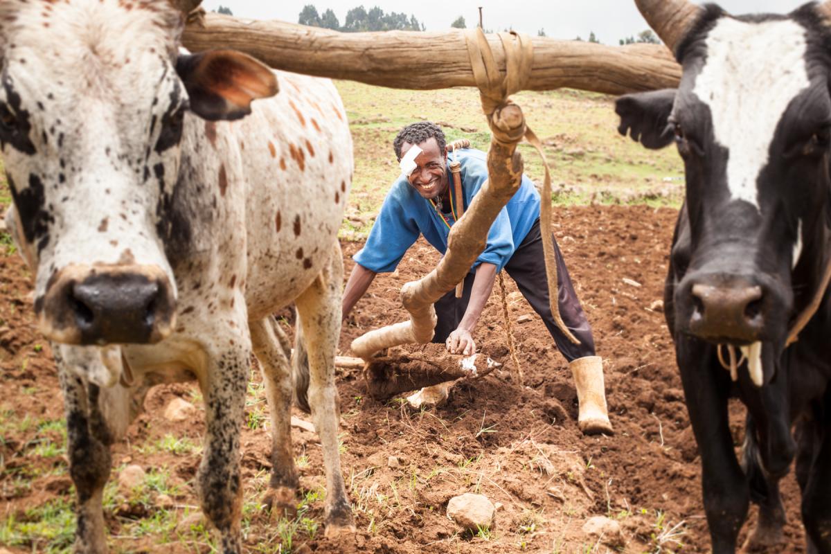 Man working in the fields after cataract surgery