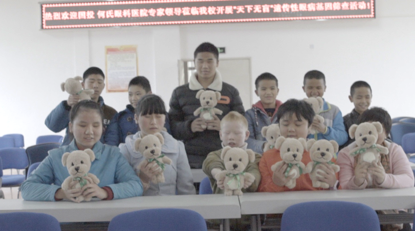 Recipients of the congenital blindness project