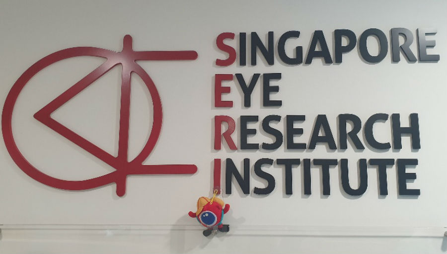 Big Eye at SERI