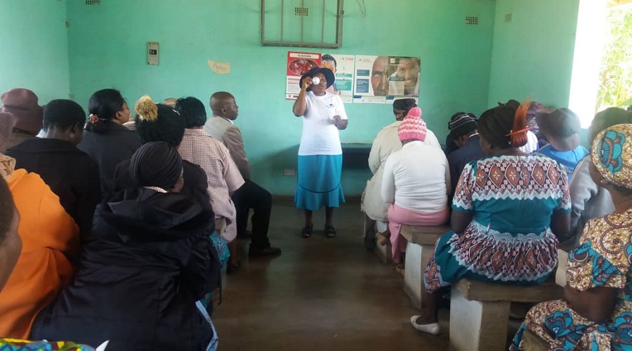 Training of Manicaland Village Health Workers in Primary Eye Care 