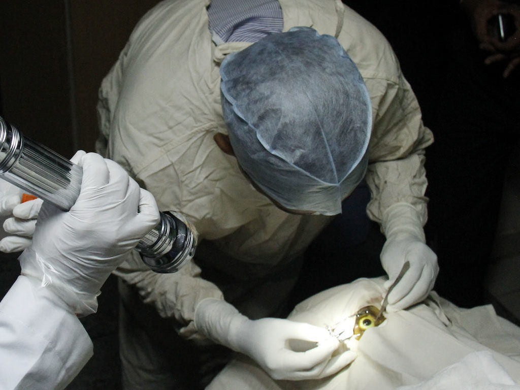 Image used to promote online eye banking course. Two young eye bank technicians performing an eye donation procedure,Shiva Shankar Talloju, Professional, Families, Eye care professionals, Assistive devices, Workplace