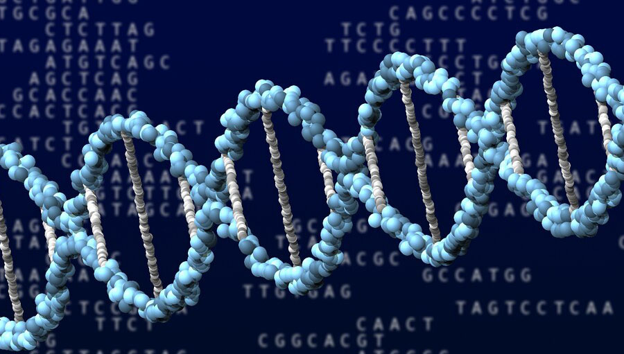 Conceptual illustration of DNA in PNG format. This is just meant to be decorative and not scientifically accurate.