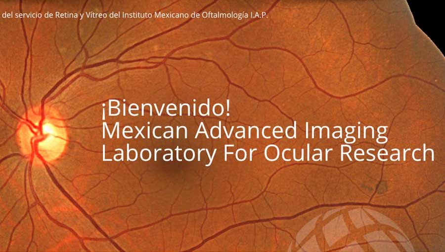 Programa Para Detección De Pacientes Con Retinopatía Diabética Mediante De Un Programa De Screening En Telemedicina