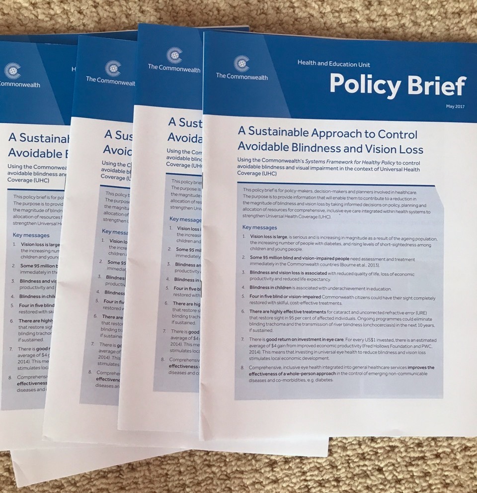 Printed copy of the policy brief