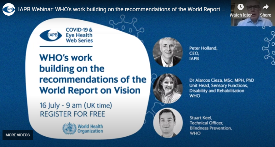 WHO and the World Report on Vision