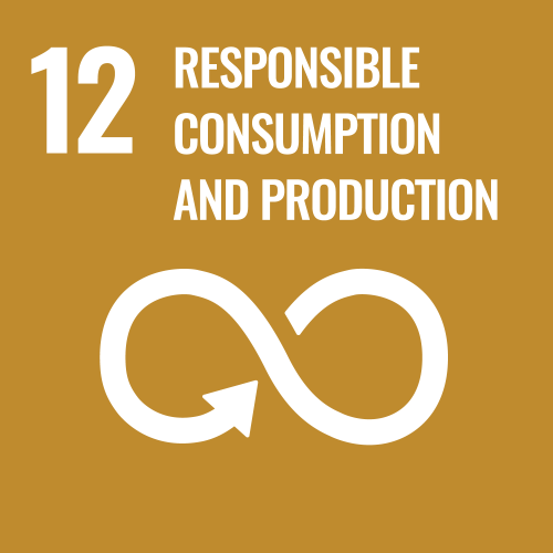 SDG 12: Responsible Consumption and Productions